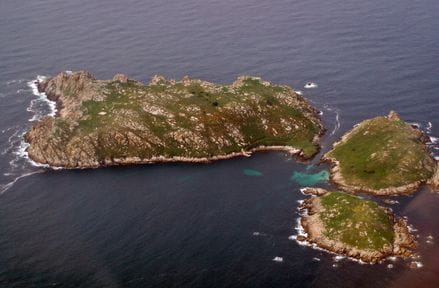 Concello de Malpica